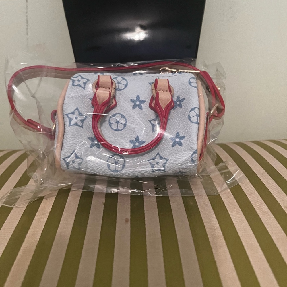 Stylish Blue and Red Women's Bag